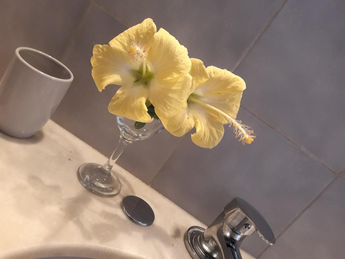 Apto Tipo Loft En Complejo Bahama, A Metros Del Mar Y Zona Muy Tranquila Пунта-дель-Есте Екстер'єр фото
